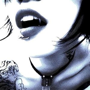 Meet your Posher, Shelby